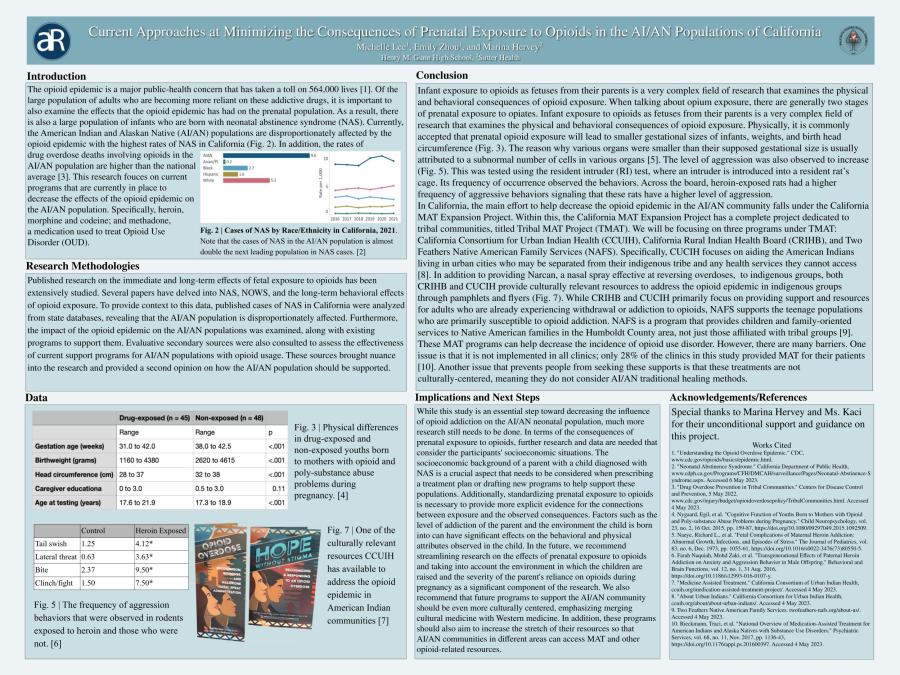 Current Approaches At Minimizing The Consequences Of Prenatal Exposure   Minimizingtheconsequences 